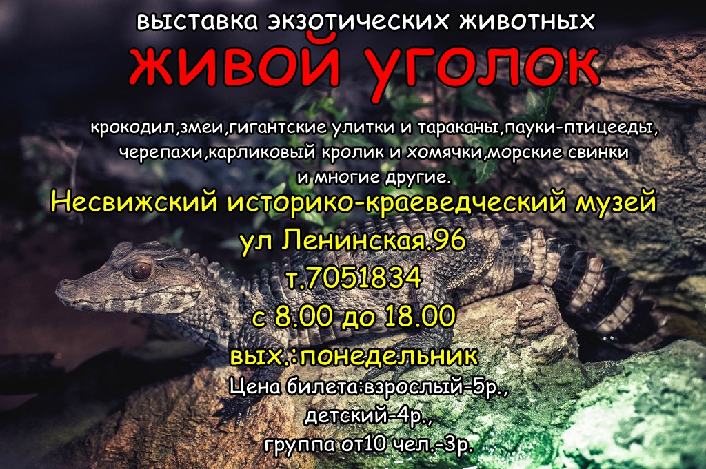 С 8 февраля по 24 марта 2019 года в музее работает выставка живых экзотических животных "Живой уголок" из частной коллекции С. Видюкова (г. Витебск)"
