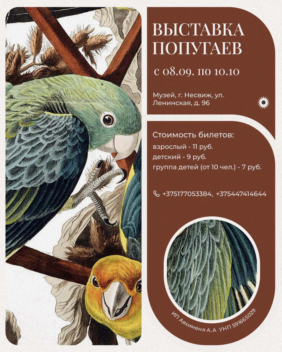 Временная экспозиция «Выставка попугаев»