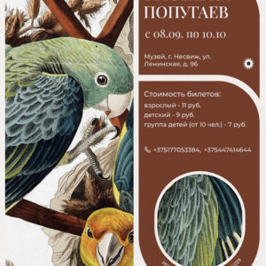 Временная экспозиция «Выставка попугаев»