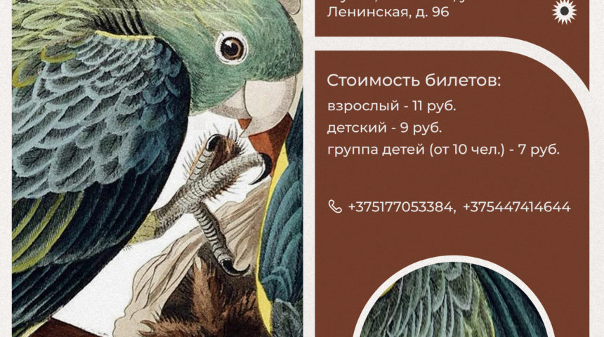 Временная экспозиция «Выставка попугаев»